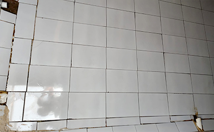 Reliable Water Tank Cleaning Solutions by Tankclean Chennai